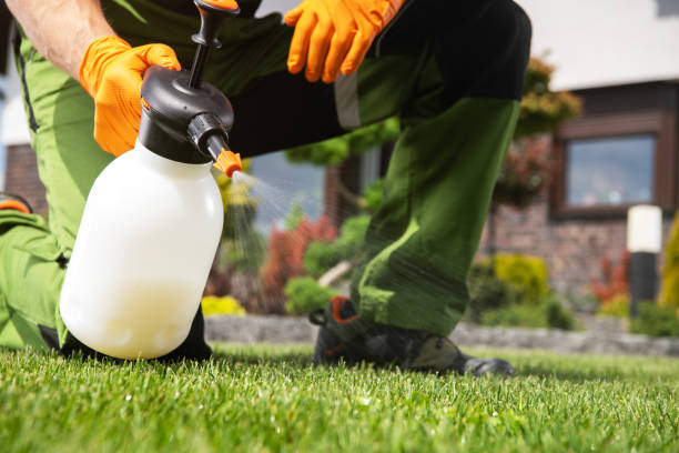 Best Exterminator Services  in Anacortes, WA