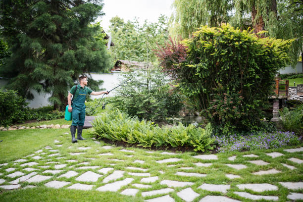 Best Rat Extermination Near Me  in Anacortes, WA