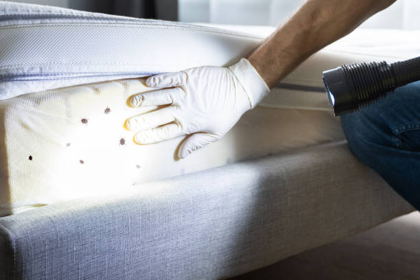 Best Pest Inspection Near Me  in Anacortes, WA