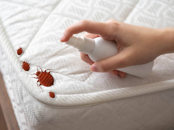Best Emergency Pest Control  in Anacortes, WA