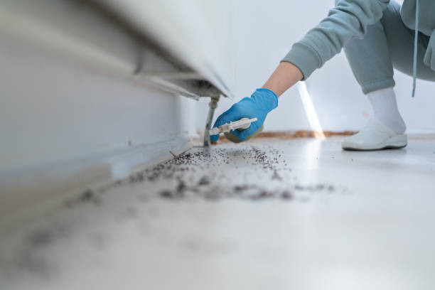 Best Commercial Pest Control Services  in Anacortes, WA